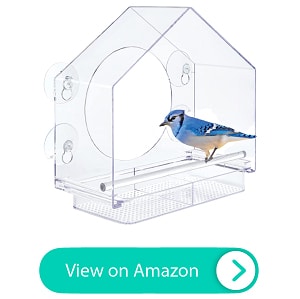 My built-in bird feeder window, window, bird feeder, This is one of the  coolest things I've ever seen 🤯🐦, By LADbible